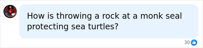 Lawyer For Tourist Who Hurled Rock At Beloved Seal Provides Unusual Justification For His Client’s Actions Lawyer For Tourist Who Hurled Rock At Beloved Seal Provides Unusual Justification For His Client’s Actions