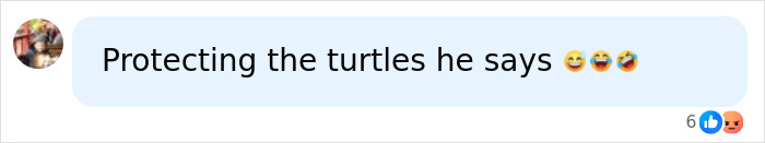 Lawyer For Tourist Who Hurled Rock At Beloved Seal Provides Unusual Justification For His Client’s Actions Lawyer For Tourist Who Hurled Rock At Beloved Seal Provides Unusual Justification For His Client’s Actions