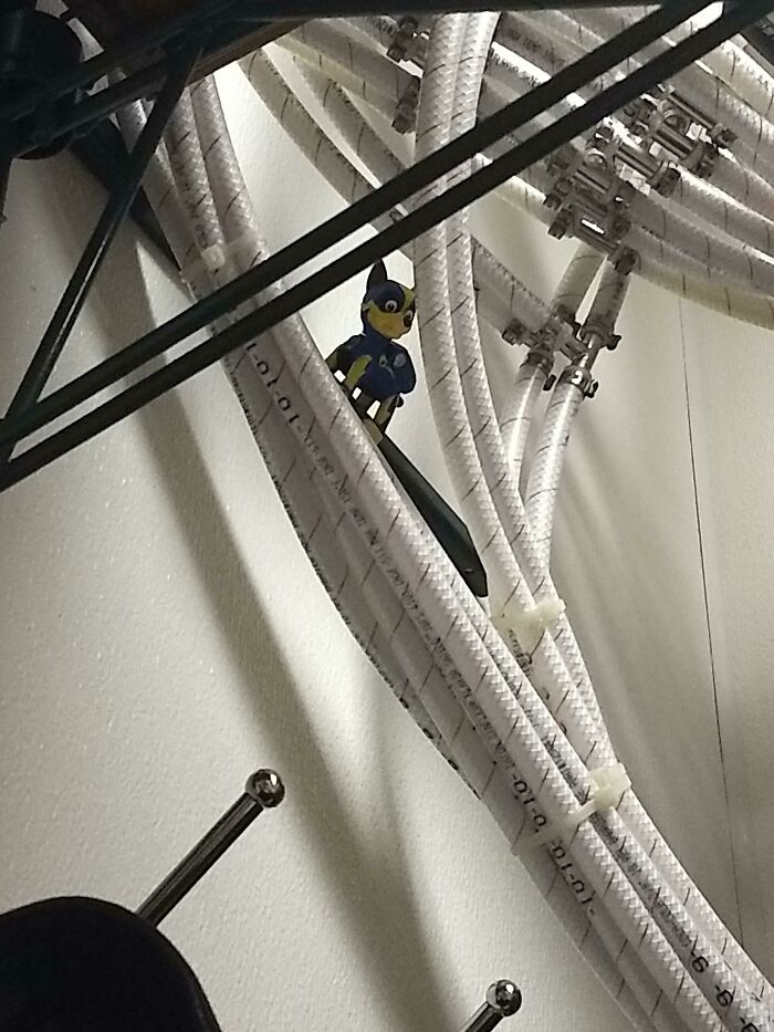“Why Is This Here?”: 66 Things People Discovered Hidden In Plain Sight At Work “Why Is This Here?”: 66 Things People Discovered Hidden In Plain Sight At Work