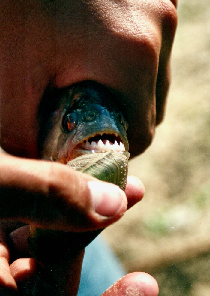 55 Shocking And Dark Secrets That Could Ruin People&rsquo;s Lives If They Were Ever Revealed