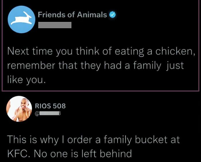 71 Brutally Funny Replies That Ended Up Winning The Whole Post