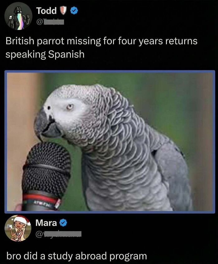 71 Brutally Funny Replies That Ended Up Winning The Whole Post