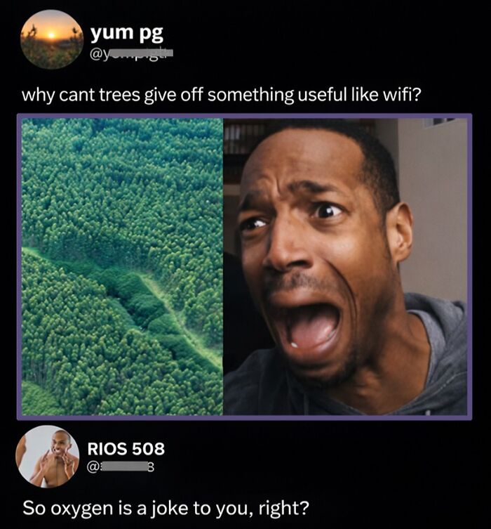 71 Brutally Funny Replies That Ended Up Winning The Whole Post