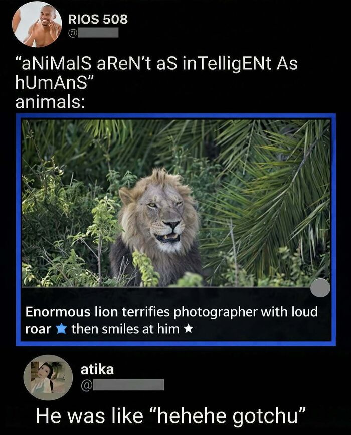 71 Brutally Funny Replies That Ended Up Winning The Whole Post