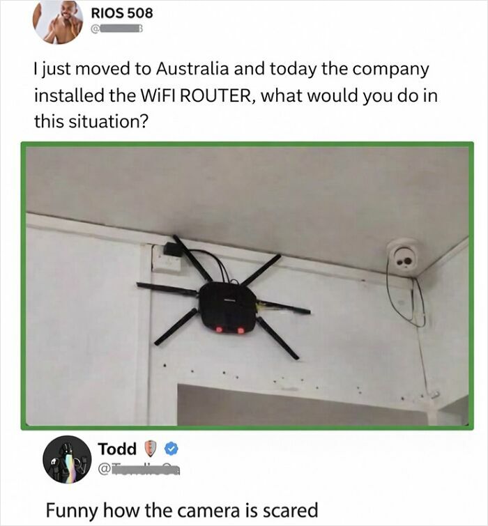 71 Brutally Funny Replies That Ended Up Winning The Whole Post