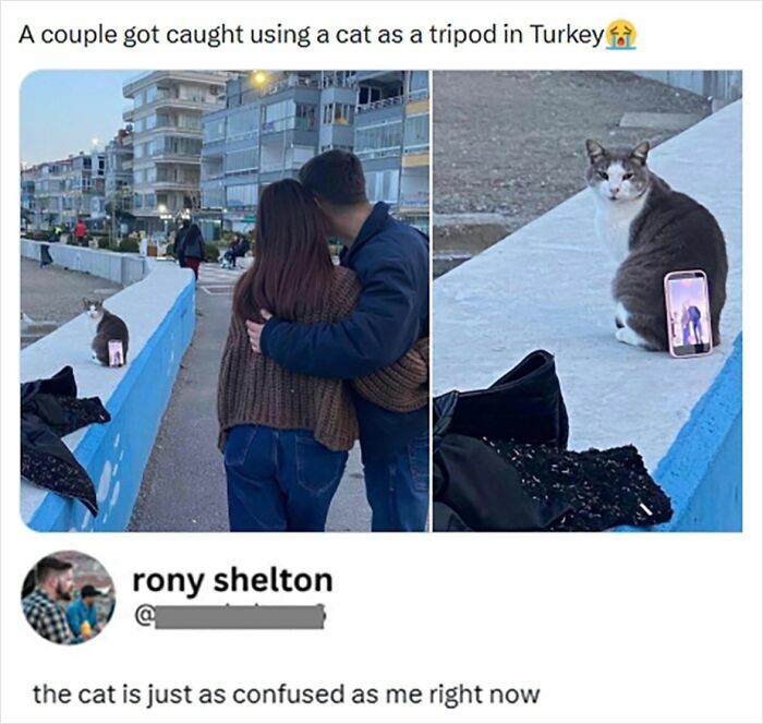 71 Brutally Funny Replies That Ended Up Winning The Whole Post