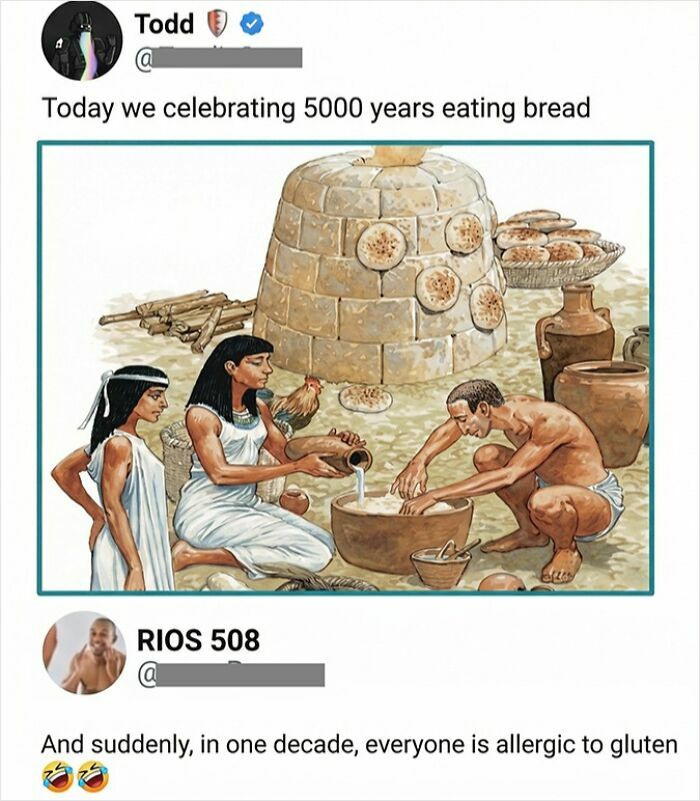 71 Brutally Funny Replies That Ended Up Winning The Whole Post