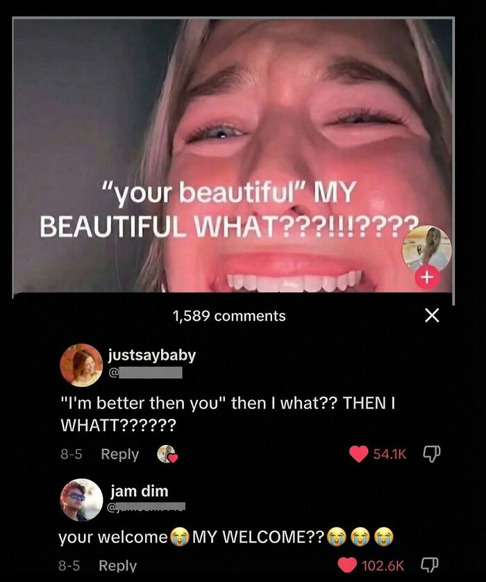 71 Brutally Funny Replies That Ended Up Winning The Whole Post