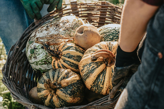 47 Terrifying Truths About Casual Activities That Can Turn Fatal