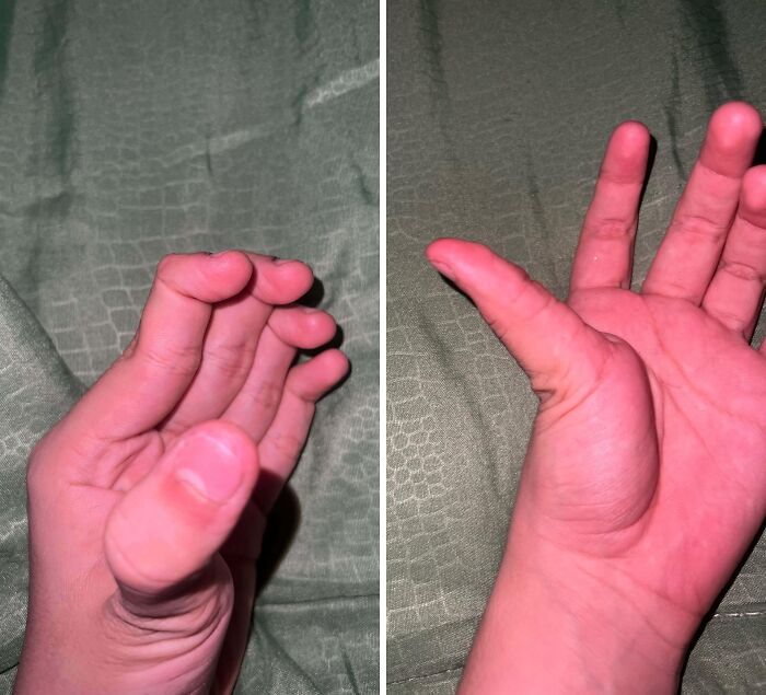49 Things People Were Confused About But Folks Online Explained Them