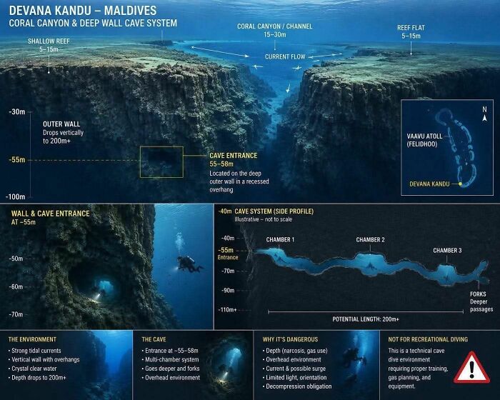 Mortician Shares Disturbing Insight On Divers’ Bodies In Maldives ‘Shark Cave’ Scuba Tragedy Mortician Shares Disturbing Insight On Divers’ Bodies In Maldives ‘Shark Cave’ Scuba Tragedy