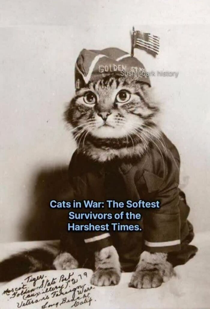 73 Horrifying And Creepy Historical Facts That Few People Know About 73 Horrifying And Creepy Historical Facts That Few People Know About