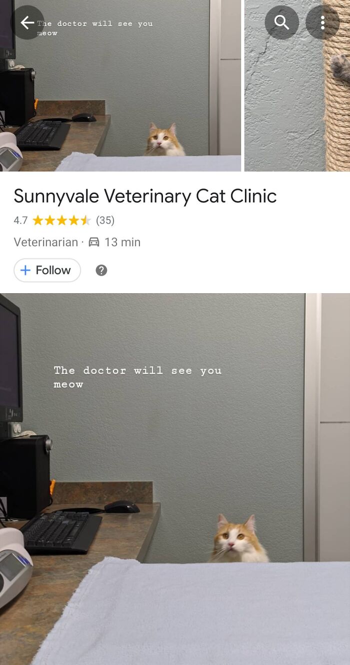 61 Bizarre And Funny Snapshots Found On Google Maps (New Pics)
