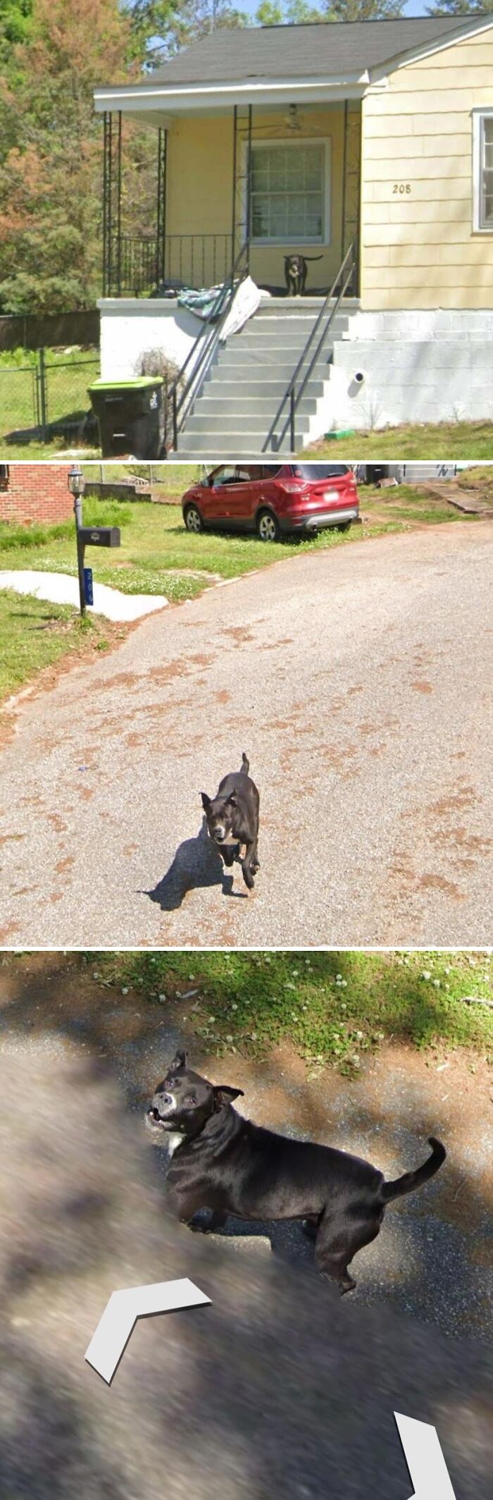 61 Bizarre And Funny Snapshots Found On Google Maps (New Pics)