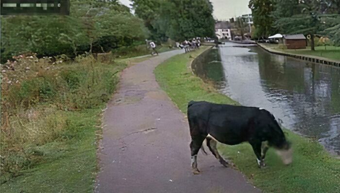 61 Bizarre And Funny Snapshots Found On Google Maps (New Pics)