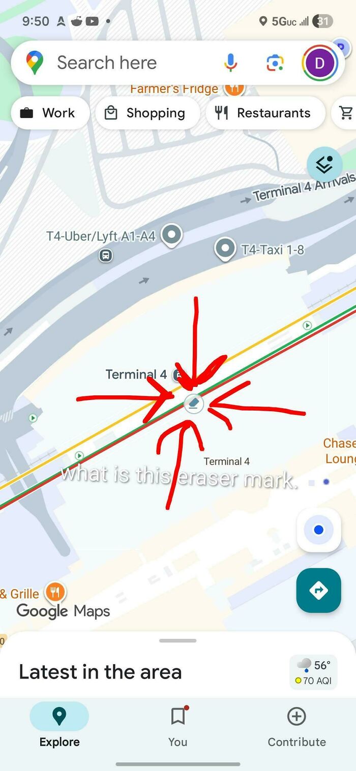 61 Bizarre And Funny Snapshots Found On Google Maps (New Pics)