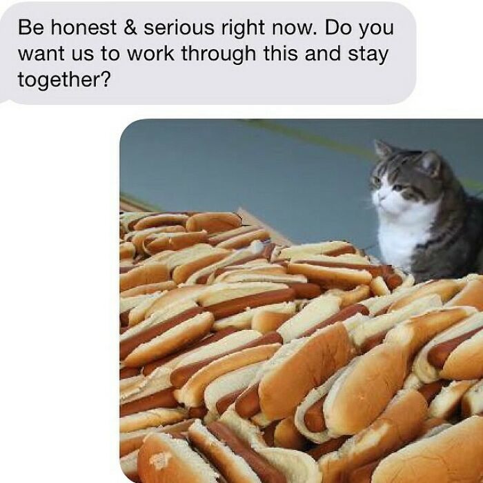 “We Should Break Up”: 67 Painfully Clear Texts That Needed No Second Opinion “We Should Break Up”: 67 Painfully Clear Texts That Needed No Second Opinion