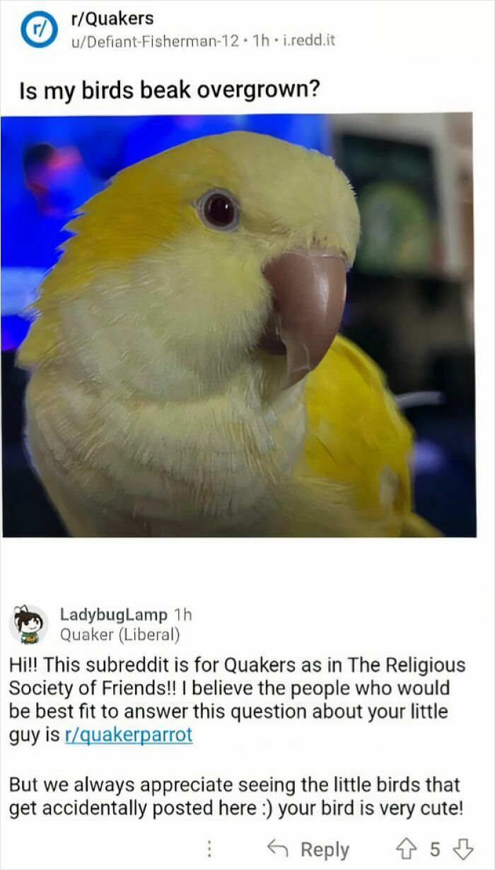 Dumb People Have Access To The Internet Too And Posted These 61 Hilarious Posts Dumb People Have Access To The Internet Too And Posted These 61 Hilarious Posts