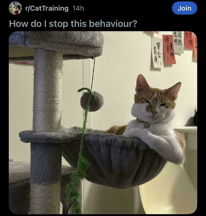 Dumb People Have Access To The Internet Too And Posted These 61 Hilarious Posts Dumb People Have Access To The Internet Too And Posted These 61 Hilarious Posts