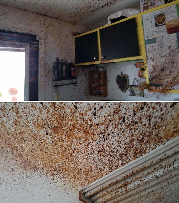&ldquo;I&rsquo;m Never Going To Financially Recover From This&rdquo;: 74 Hilariously Bad Kitchen Fails (New Pics)