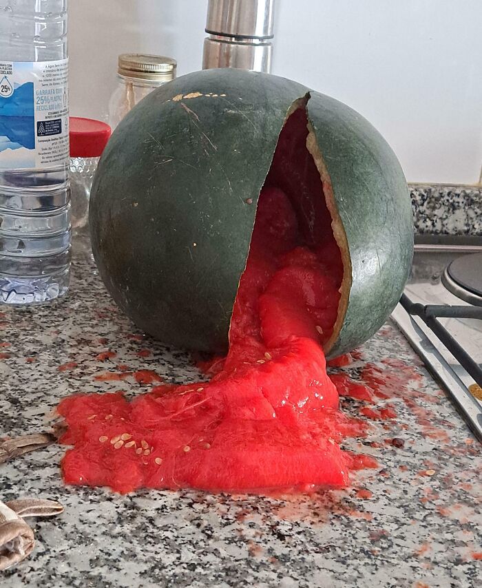 &ldquo;I&rsquo;m Never Going To Financially Recover From This&rdquo;: 74 Hilariously Bad Kitchen Fails (New Pics)