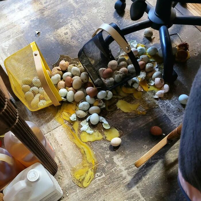 &ldquo;I&rsquo;m Never Going To Financially Recover From This&rdquo;: 74 Hilariously Bad Kitchen Fails (New Pics)