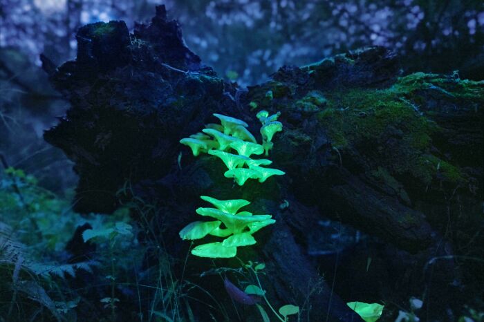 68 Folks Share The Nighttime Photos That Made Them Realize How Small We Truly Are