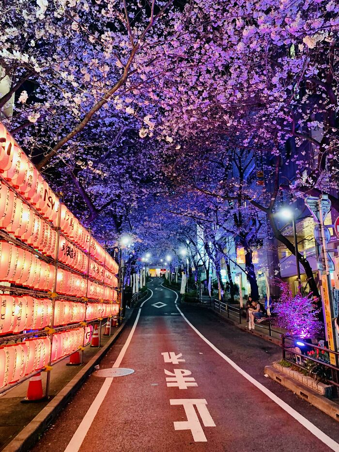 68 Folks Share The Nighttime Photos That Made Them Realize How Small We Truly Are