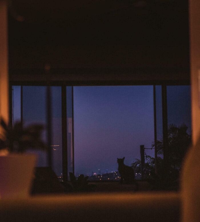 68 Folks Share The Nighttime Photos That Made Them Realize How Small We Truly Are