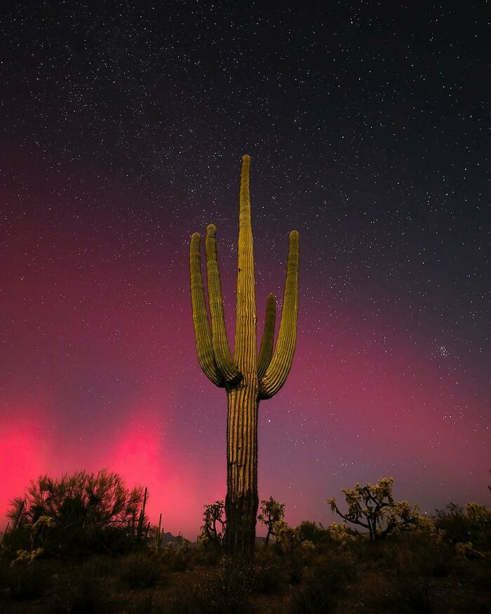 68 Folks Share The Nighttime Photos That Made Them Realize How Small We Truly Are