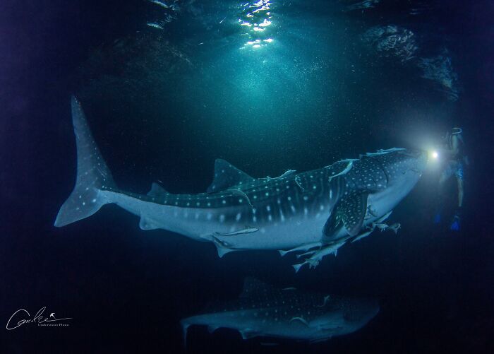 68 Folks Share The Nighttime Photos That Made Them Realize How Small We Truly Are