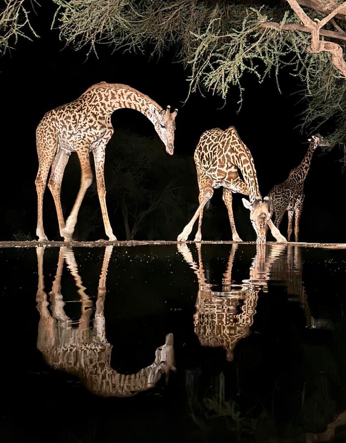 68 Folks Share The Nighttime Photos That Made Them Realize How Small We Truly Are