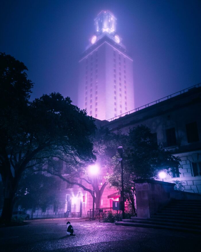 68 Folks Share The Nighttime Photos That Made Them Realize How Small We Truly Are