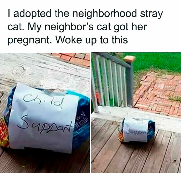 1.1M People Love This Page’s Random Sense Of Humor, Here Are 121 Of Its Best Posts 1.1M People Love This Page’s Random Sense Of Humor, Here Are 121 Of Its Best Posts