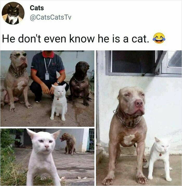 1.1M People Love This Page’s Random Sense Of Humor, Here Are 121 Of Its Best Posts 1.1M People Love This Page’s Random Sense Of Humor, Here Are 121 Of Its Best Posts