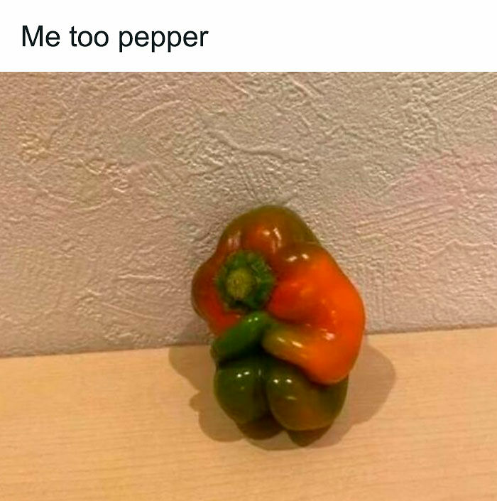 1.1M People Love This Page’s Random Sense Of Humor, Here Are 121 Of Its Best Posts 1.1M People Love This Page’s Random Sense Of Humor, Here Are 121 Of Its Best Posts