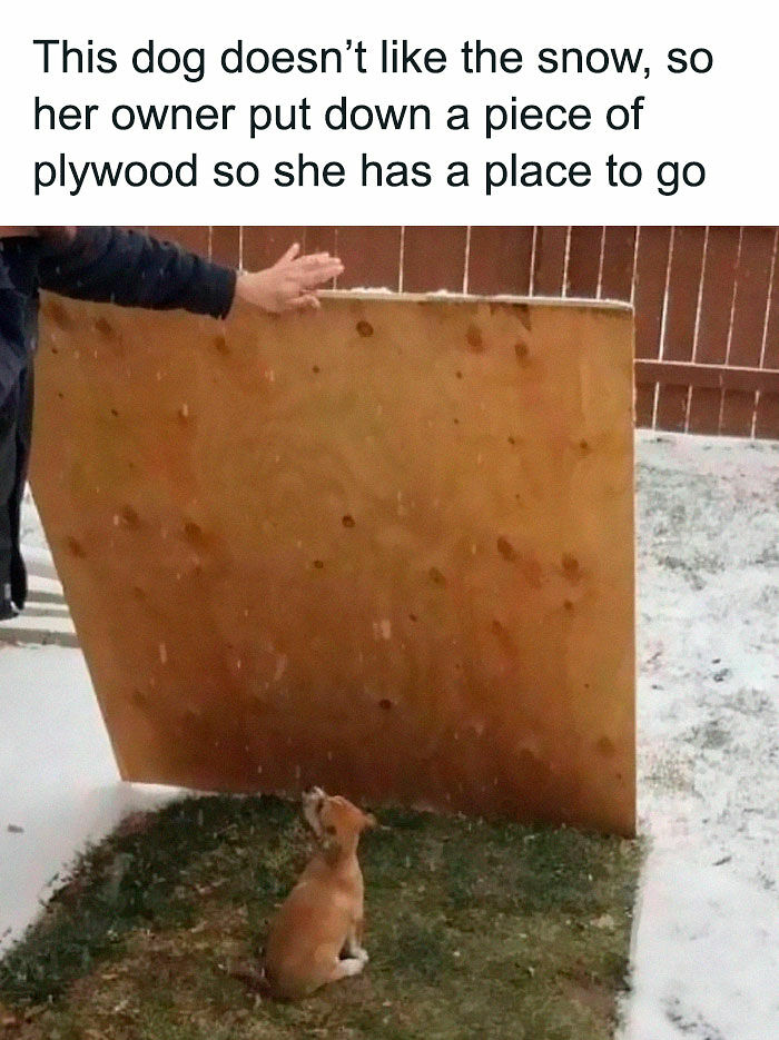 1.1M People Love This Page’s Random Sense Of Humor, Here Are 121 Of Its Best Posts 1.1M People Love This Page’s Random Sense Of Humor, Here Are 121 Of Its Best Posts