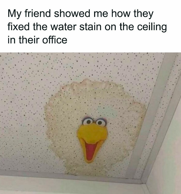 1.1M People Love This Page’s Random Sense Of Humor, Here Are 121 Of Its Best Posts 1.1M People Love This Page’s Random Sense Of Humor, Here Are 121 Of Its Best Posts