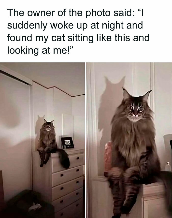 1.1M People Love This Page’s Random Sense Of Humor, Here Are 121 Of Its Best Posts 1.1M People Love This Page’s Random Sense Of Humor, Here Are 121 Of Its Best Posts