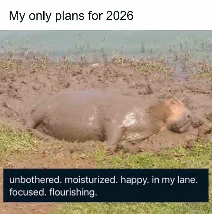 1.1M People Love This Page’s Random Sense Of Humor, Here Are 121 Of Its Best Posts 1.1M People Love This Page’s Random Sense Of Humor, Here Are 121 Of Its Best Posts