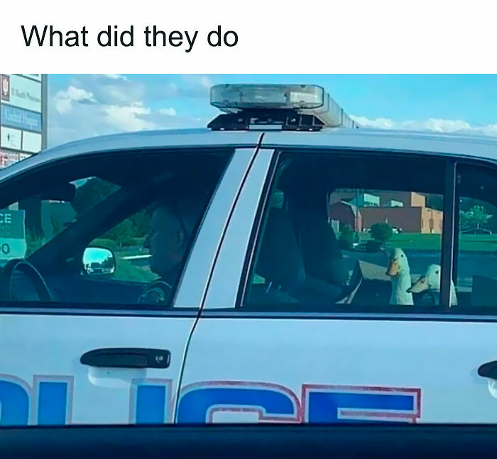 1.1M People Love This Page’s Random Sense Of Humor, Here Are 121 Of Its Best Posts 1.1M People Love This Page’s Random Sense Of Humor, Here Are 121 Of Its Best Posts