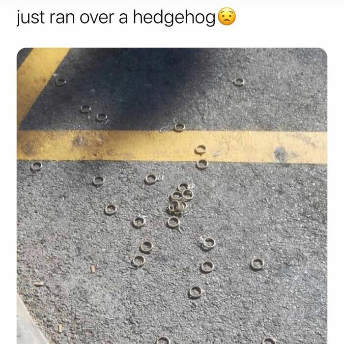 1.1M People Love This Page’s Random Sense Of Humor, Here Are 121 Of Its Best Posts 1.1M People Love This Page’s Random Sense Of Humor, Here Are 121 Of Its Best Posts