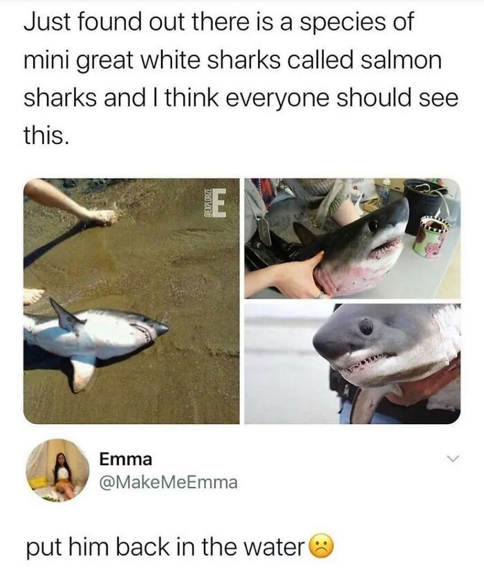 1.1M People Love This Page’s Random Sense Of Humor, Here Are 121 Of Its Best Posts 1.1M People Love This Page’s Random Sense Of Humor, Here Are 121 Of Its Best Posts