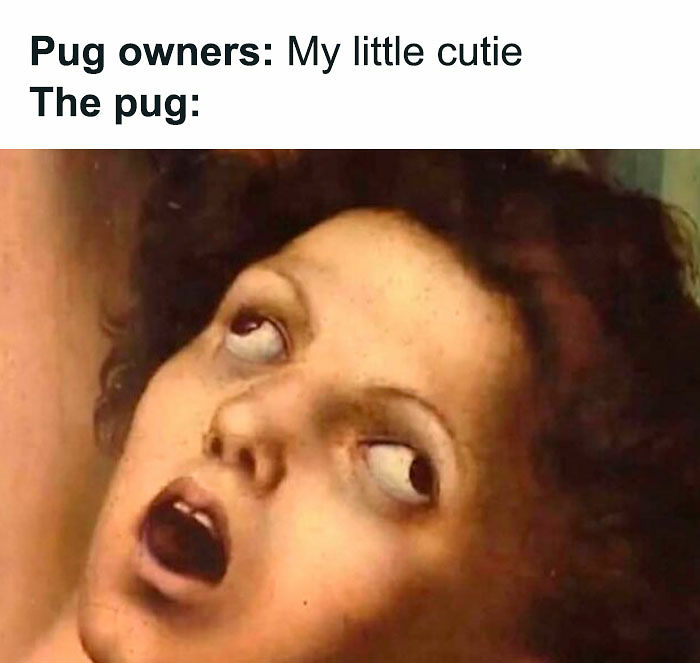 1.1M People Love This Page’s Random Sense Of Humor, Here Are 121 Of Its Best Posts 1.1M People Love This Page’s Random Sense Of Humor, Here Are 121 Of Its Best Posts