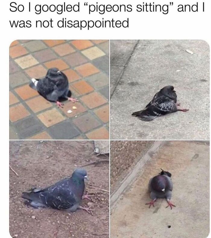 1.1M People Love This Page’s Random Sense Of Humor, Here Are 121 Of Its Best Posts 1.1M People Love This Page’s Random Sense Of Humor, Here Are 121 Of Its Best Posts
