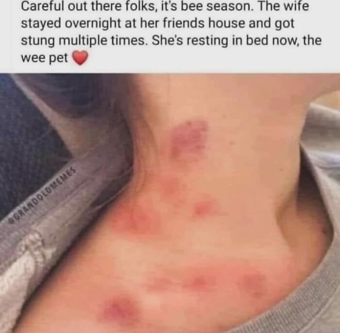 1.1M People Love This Page’s Random Sense Of Humor, Here Are 121 Of Its Best Posts 1.1M People Love This Page’s Random Sense Of Humor, Here Are 121 Of Its Best Posts