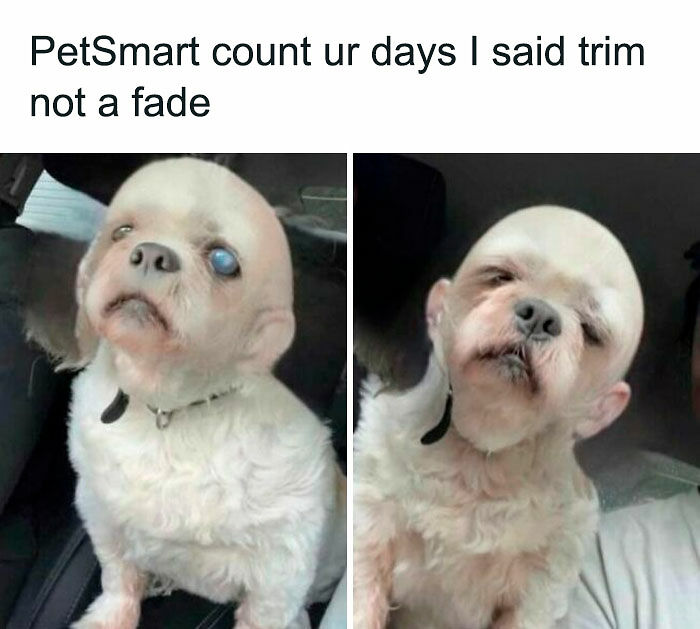 1.1M People Love This Page’s Random Sense Of Humor, Here Are 121 Of Its Best Posts 1.1M People Love This Page’s Random Sense Of Humor, Here Are 121 Of Its Best Posts