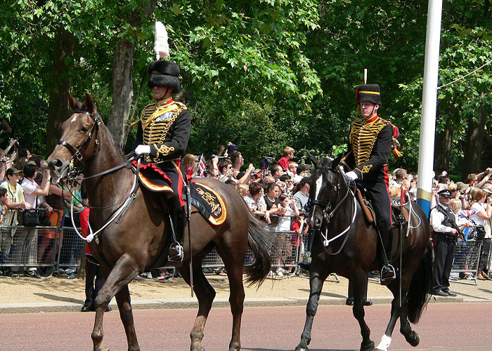 Female Soldier’s Horrific Passing After King Charles Performance Fuels Fresh Horse Show Scrutiny Female Soldier’s Horrific Passing After King Charles Performance Fuels Fresh Horse Show Scrutiny