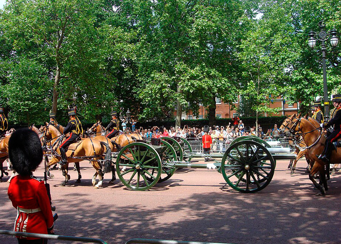 Female Soldier’s Horrific Passing After King Charles Performance Fuels Fresh Horse Show Scrutiny Female Soldier’s Horrific Passing After King Charles Performance Fuels Fresh Horse Show Scrutiny