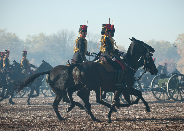 Female Soldier’s Horrific Passing After King Charles Performance Fuels Fresh Horse Show Scrutiny Female Soldier’s Horrific Passing After King Charles Performance Fuels Fresh Horse Show Scrutiny